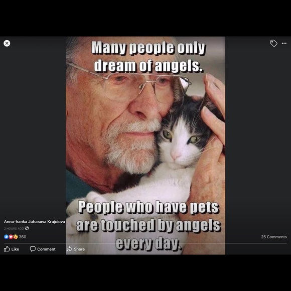 ❤️Please be kind to homeless cats and kittens❤️ - Picture 6 of 9